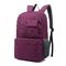 紫色の小学校袋、中間の学童のための小学校のバックパック